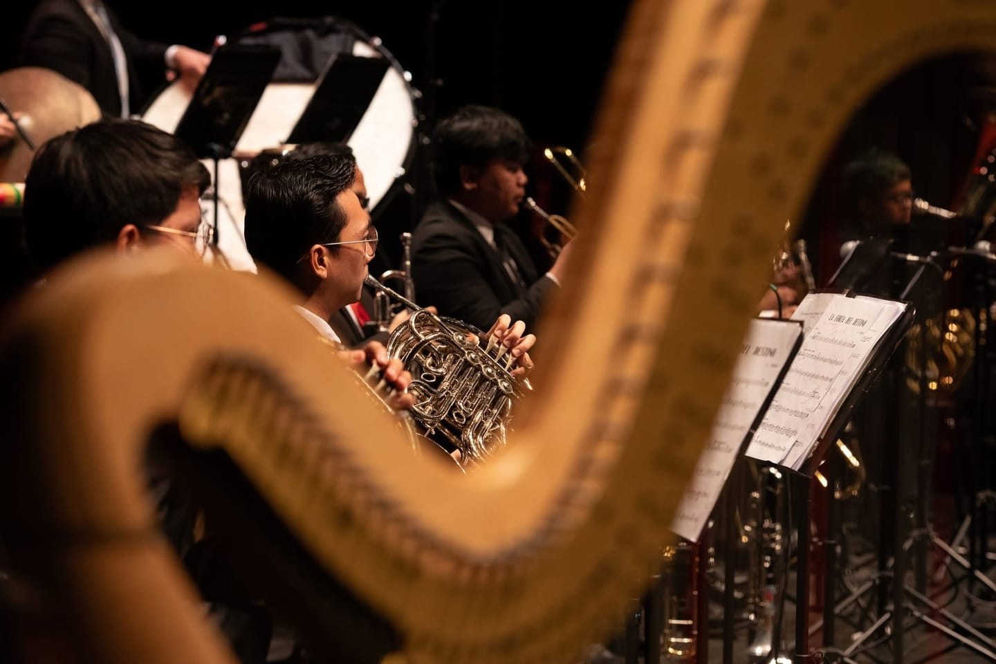 Customer photo review of Horn Classic J Series