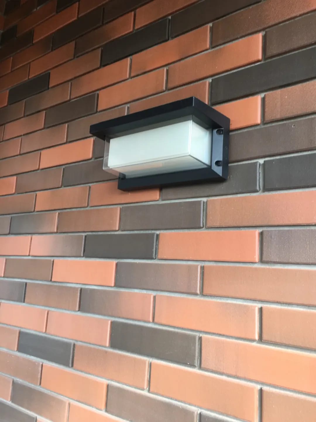 Customer photo review of Die-Cast Outdoor Wall Light, Black Wall Sconce, IP65, Optional Sensor