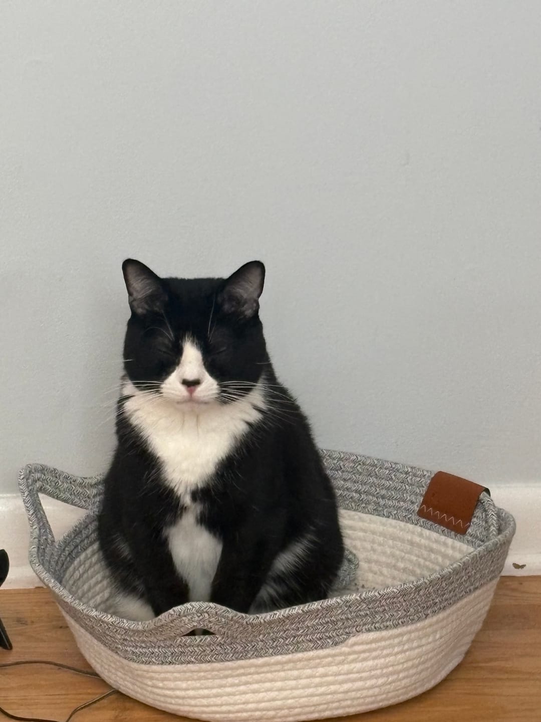 Customer photo review of Instinct Basket | Meet the first research-backed natural scratcher for indoor cats