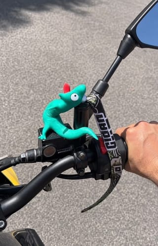 Customer photo review of MyRideBuddy™ – The Screaming Lizard