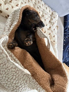 Customer photo review of Studio Nest Schlafsack