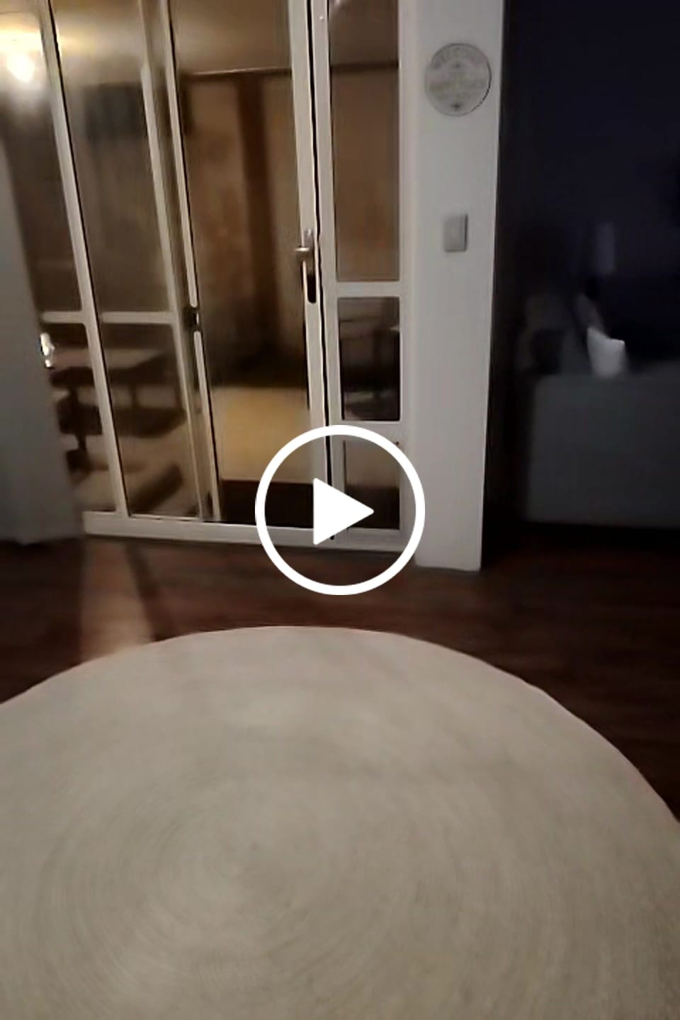 Customer video review of Patio Pet Door Insert