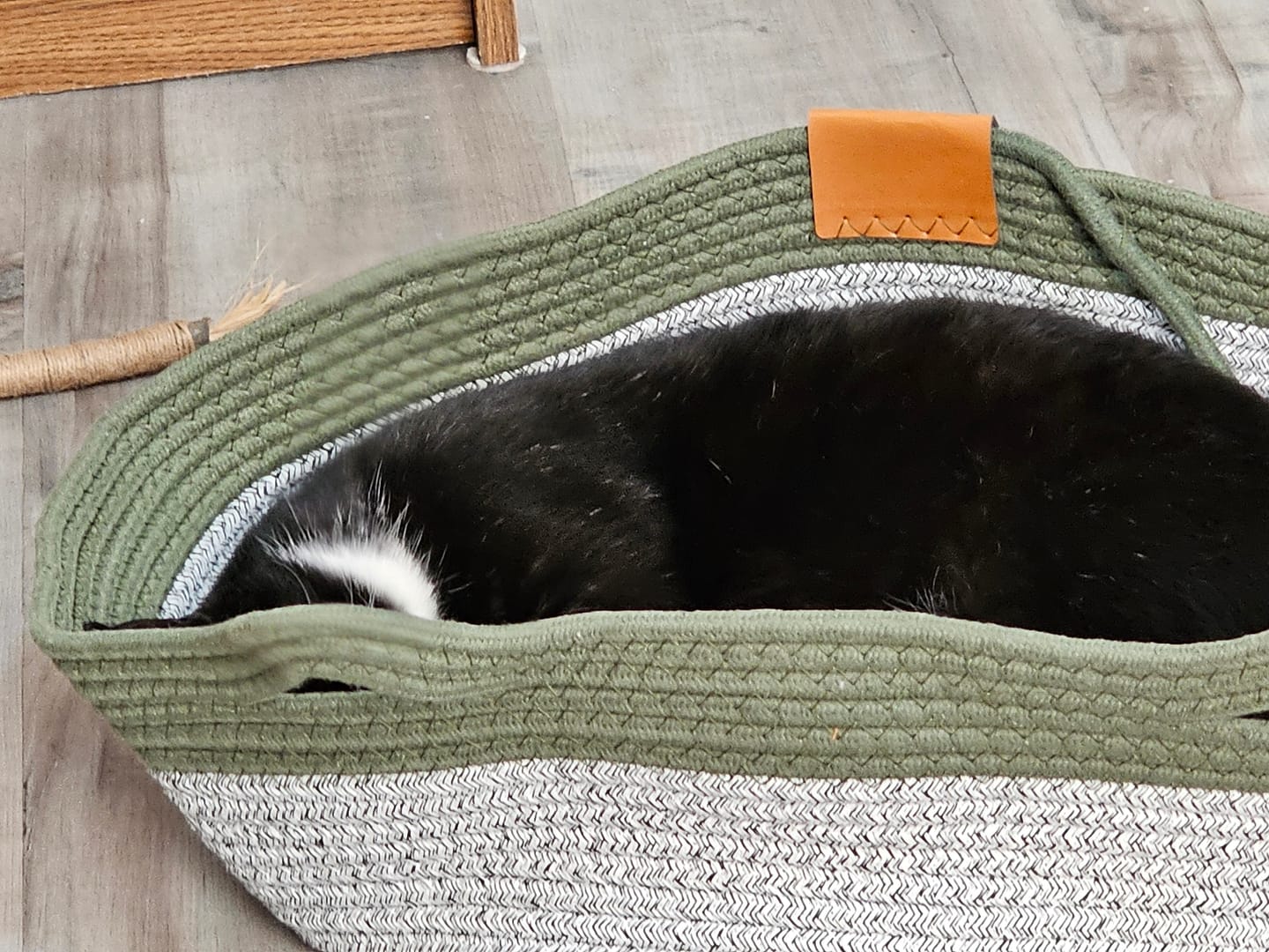 Customer photo review of Instinct Basket | Meet the first research-backed natural territory for indoor cats
