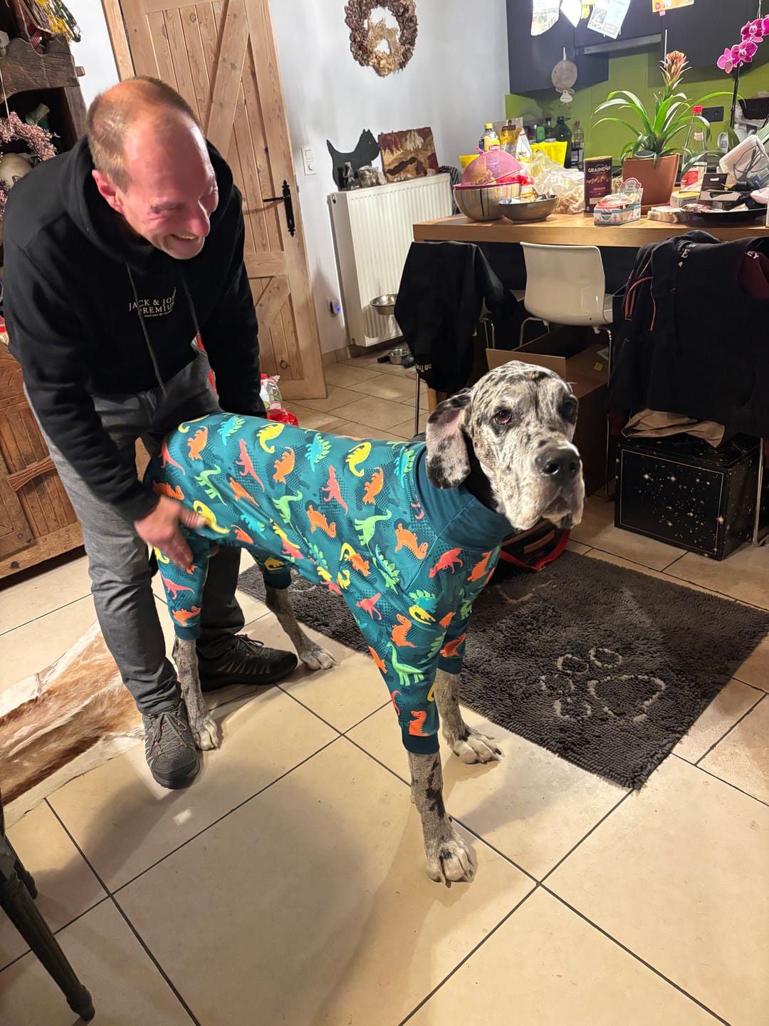 Customer photo review of Dog Pajama - Dinosaurs