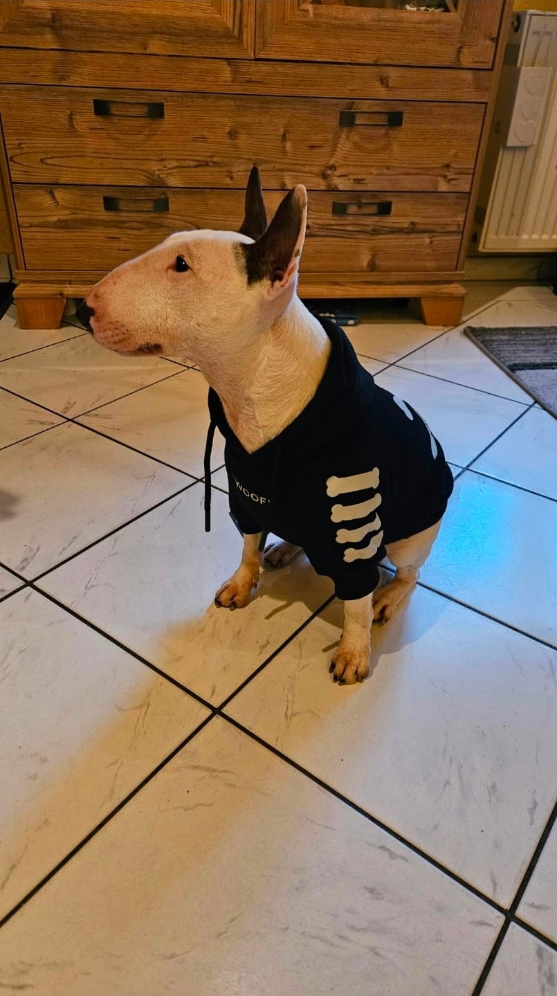 Customer photo review of Dog Hoodie Prints