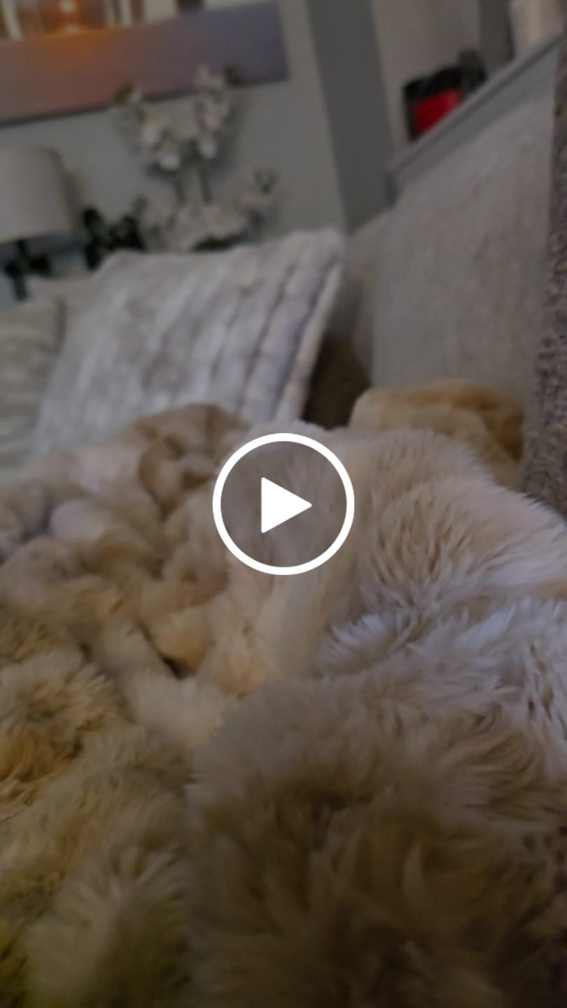 Customer video review of Cloud Throw Blanket