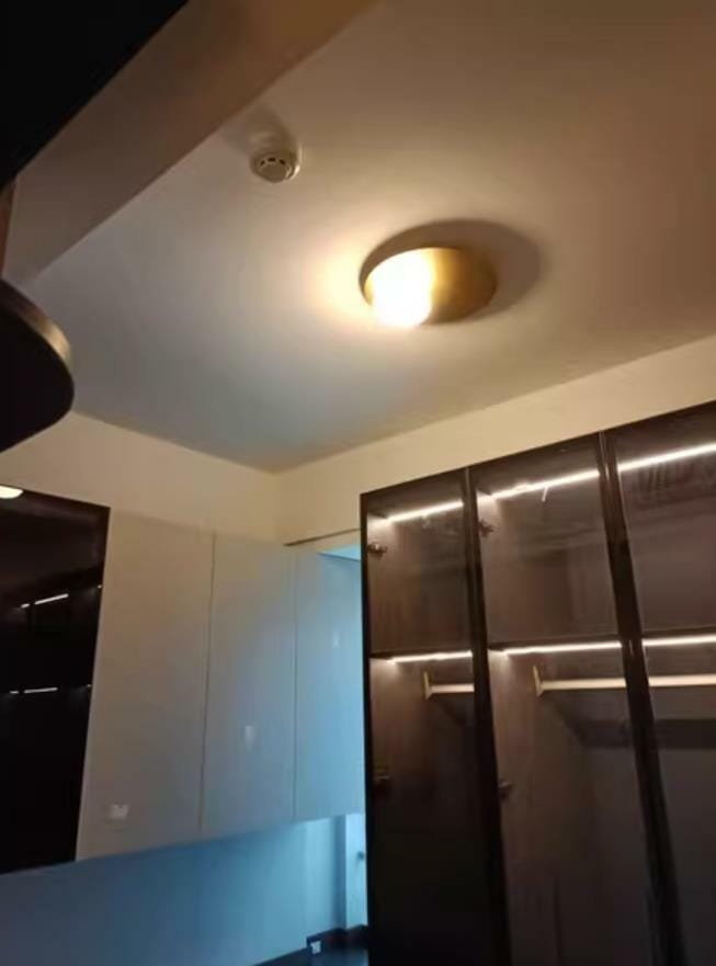 Customer photo review of Milk Glass Ceiling Light with Globe Shade, Metal Disc, 36 or 48 cm