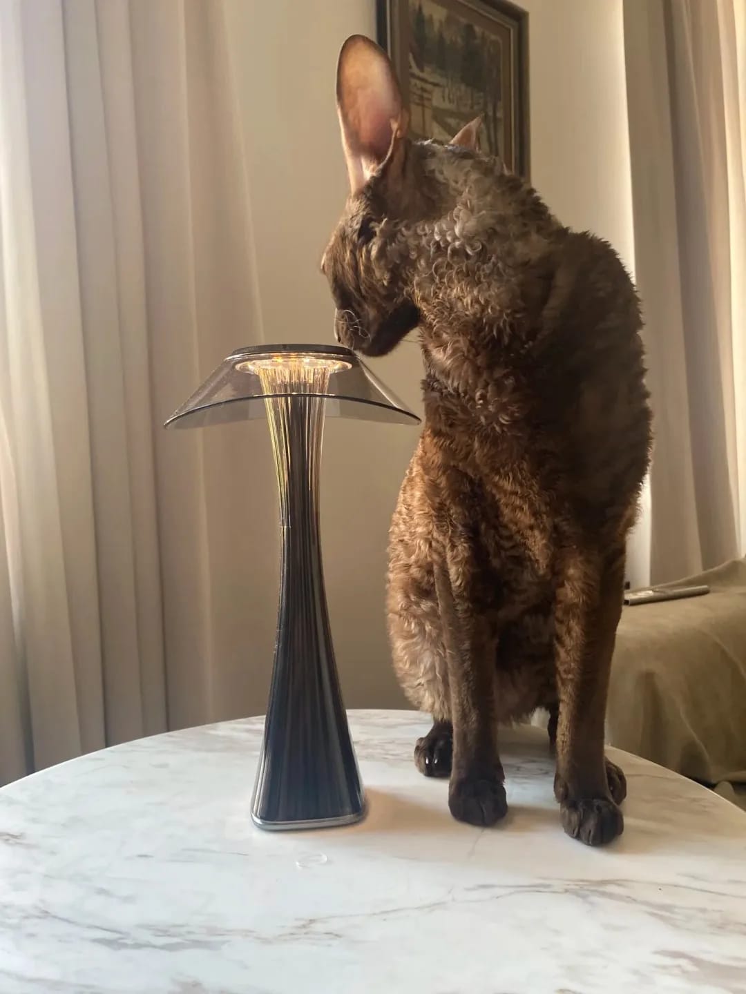 Customer photo review of Fluted Rechargeable Table Lamp, Mushroom Cap, Cordless, 27.4 cm