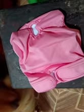 Customer photo review of Mumaby™ Washable Dog Diaper