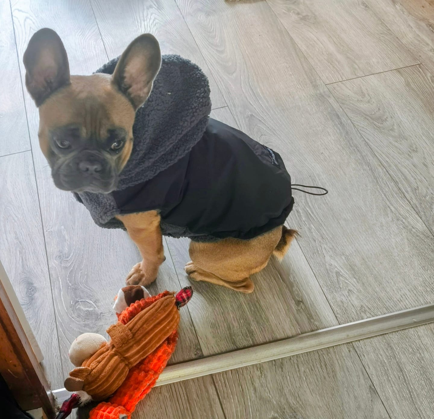 Customer photo review of Reversible Sherpa Jackets