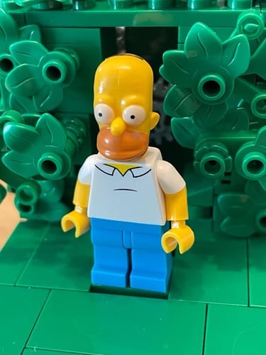 Customer photo review of Buildable Homer in the Bushes Display Set