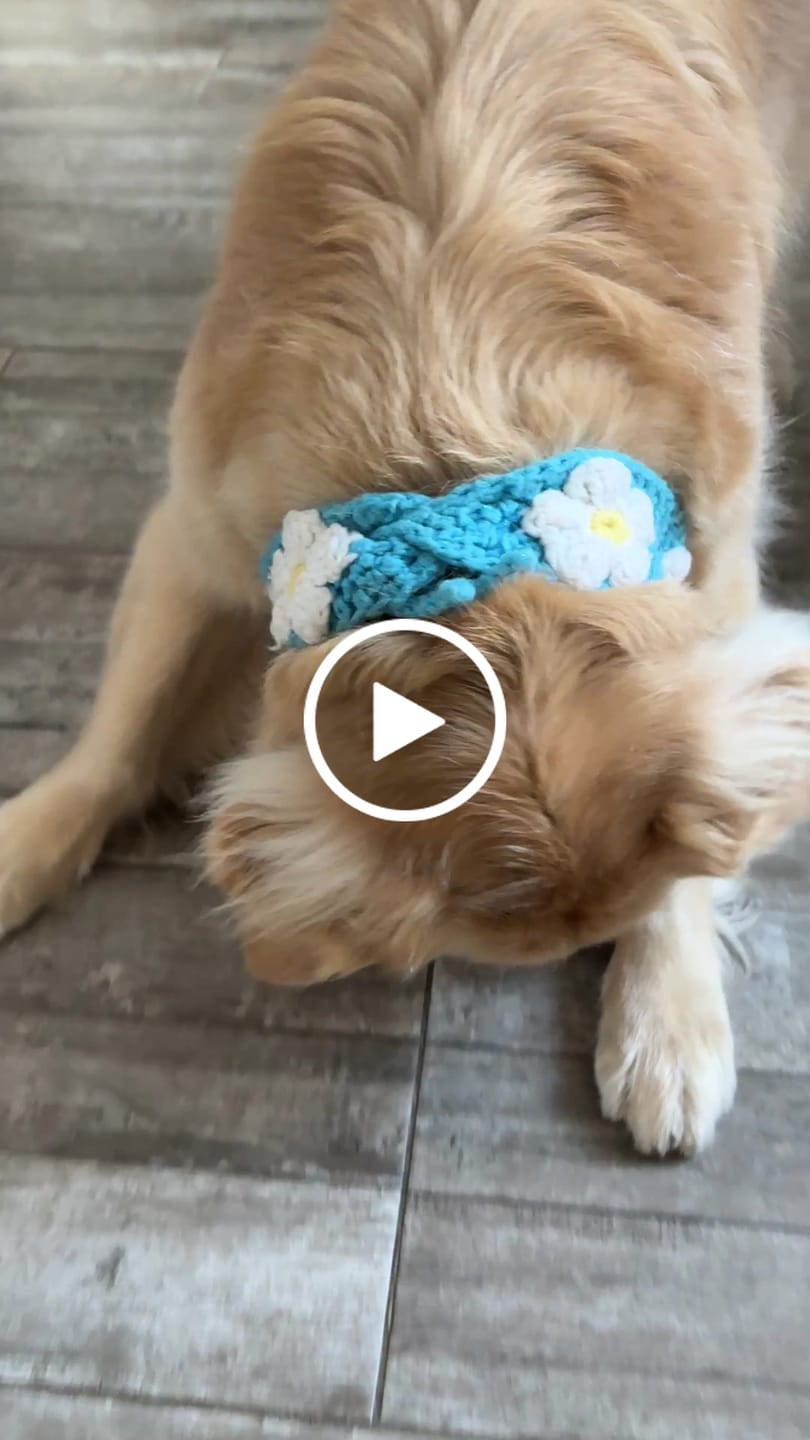Customer video review of Freezball - Durable Fillable Dog Chew Bone