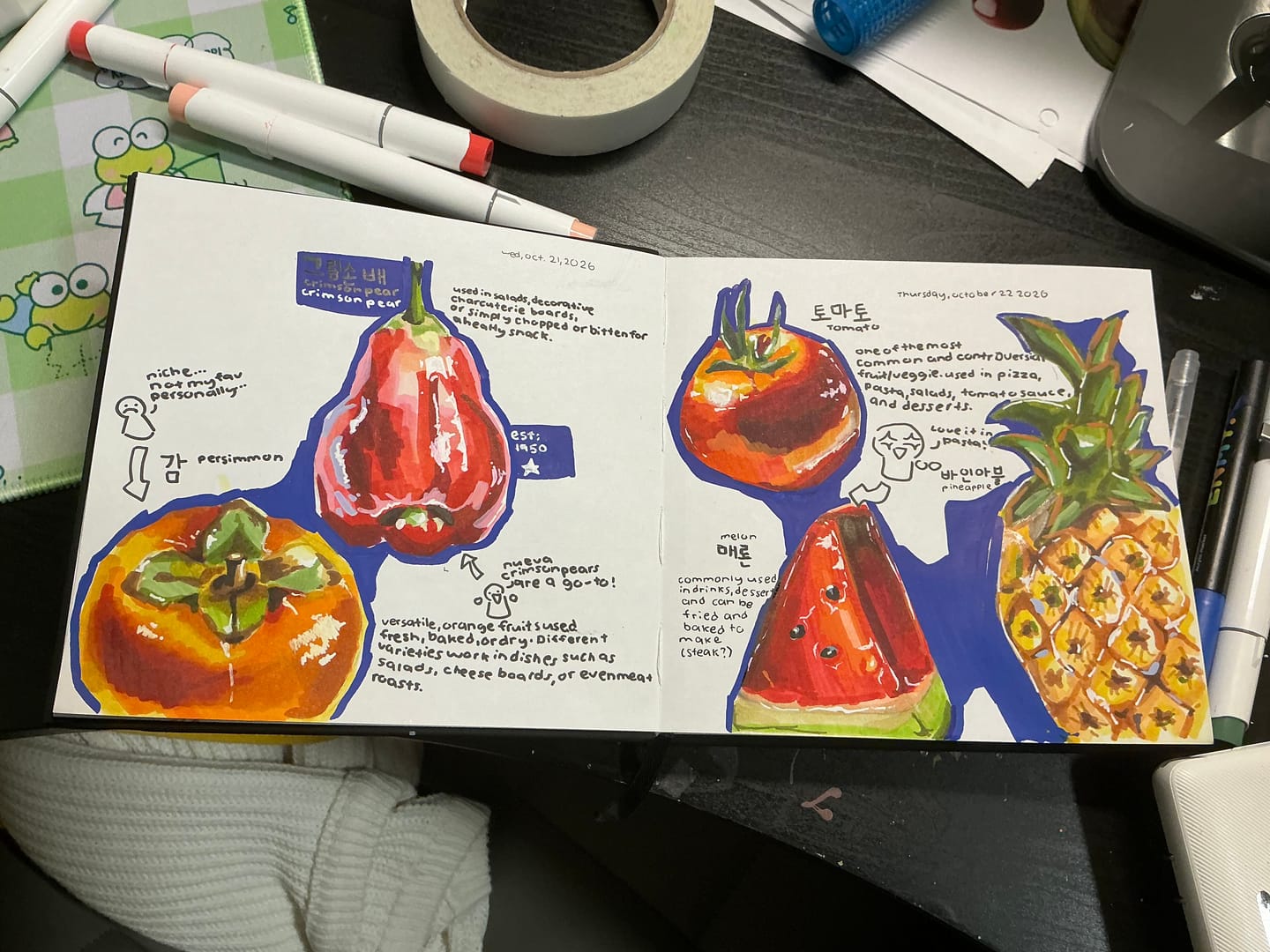 Customer photo review of Ohuhu Bleedproof Double-Sided Marker Pad with PU Cover