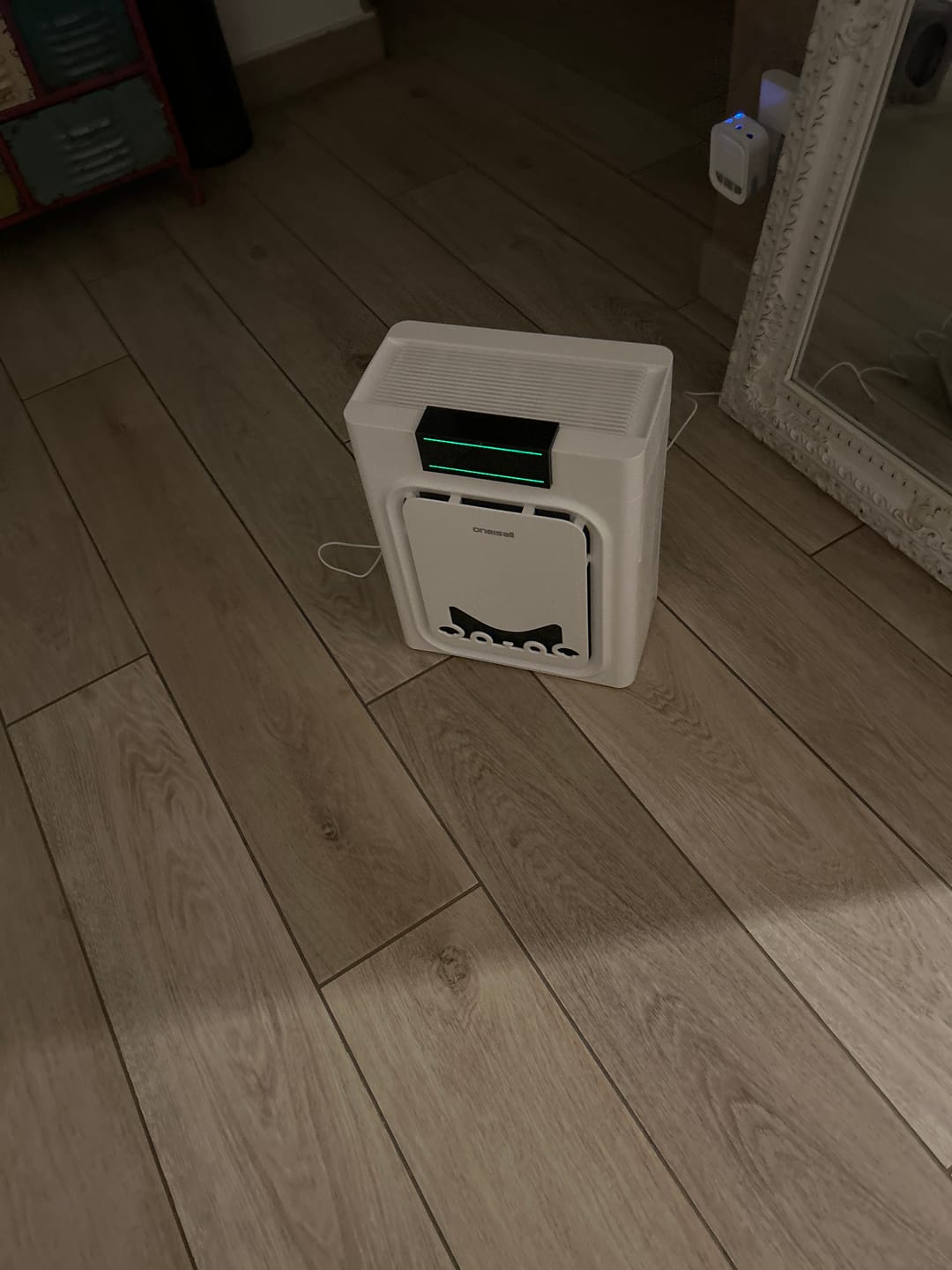 Customer photo review of Oneisall Air Purifier for Homes with Pets, Double-Sided Inlet