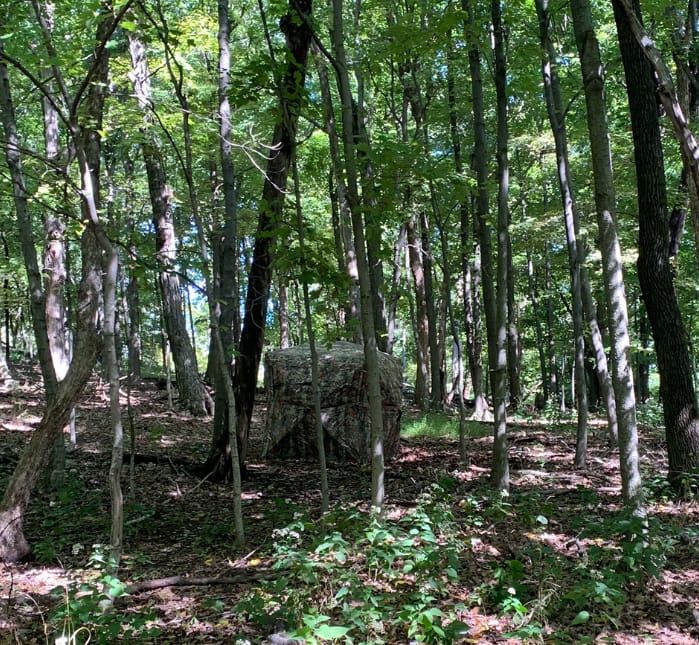 Customer photo review of FLASH SALE VisX/VisMax See Through Hunting Blind, Pop Up Ground Deer Blind