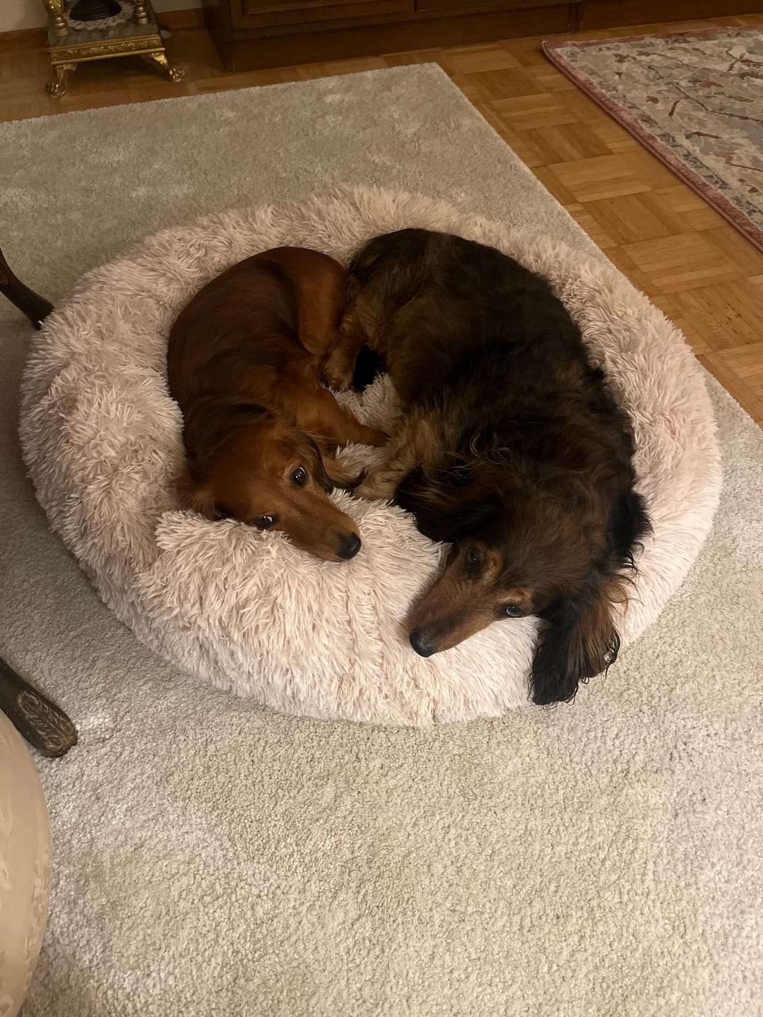 Customer photo review of CalmBed – Ehkäisee stressiä ja lievittää ahdistusta