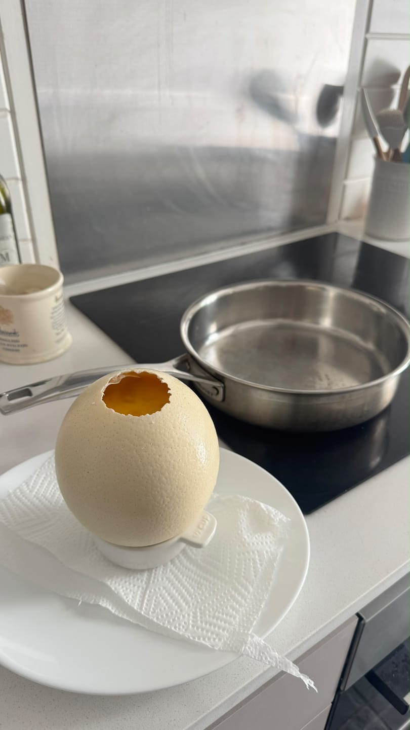 Customer photo review of Fresh Ostrich Eggs for Sale | Farm Fresh Karoo Ostrich Eggs