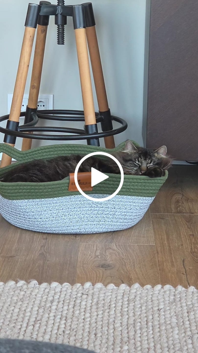 Customer video review of Instinct Basket | Meet the first research-backed natural territory for indoor cats
