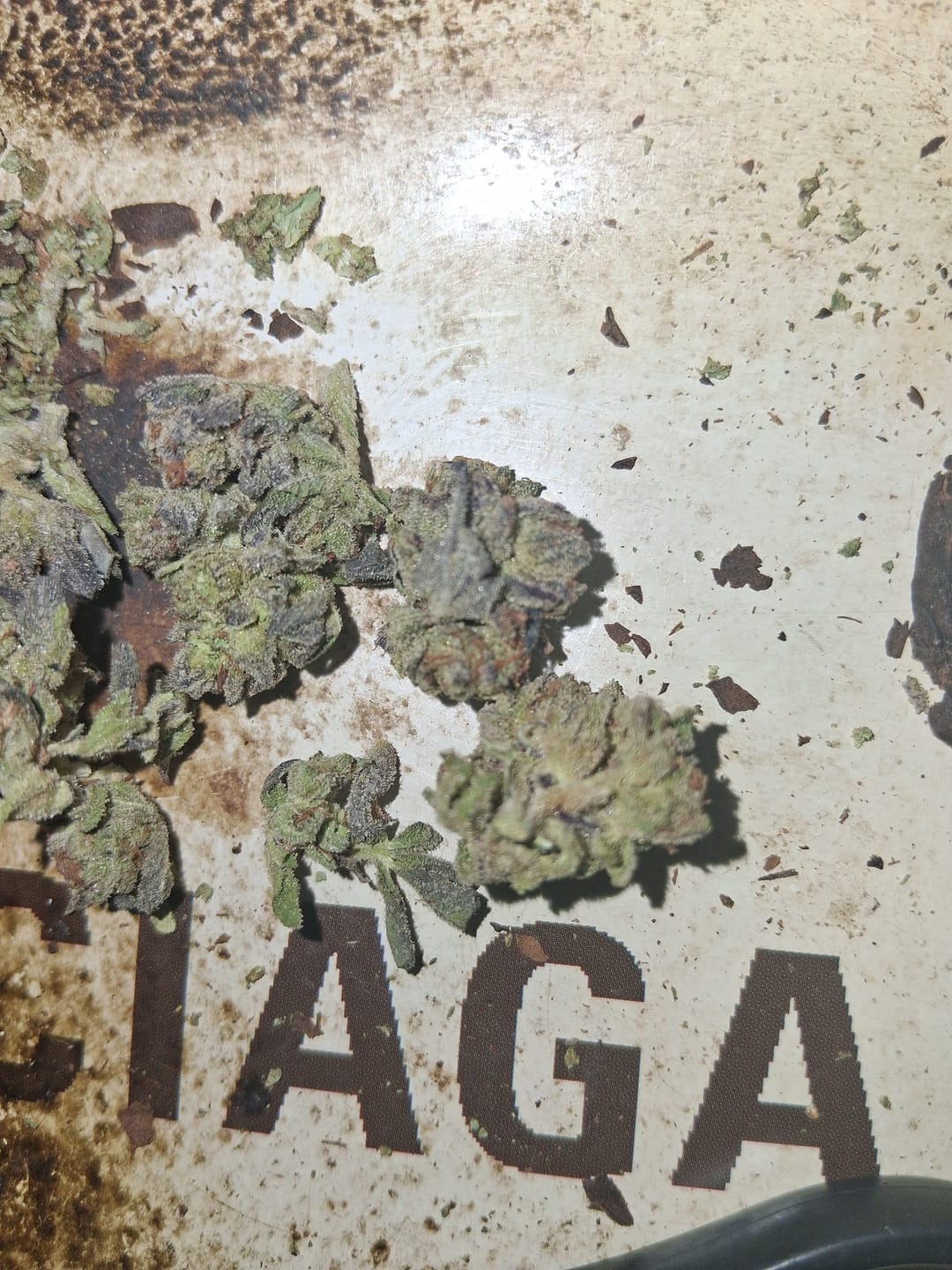 Customer photo review of White Gushers THCA Flower