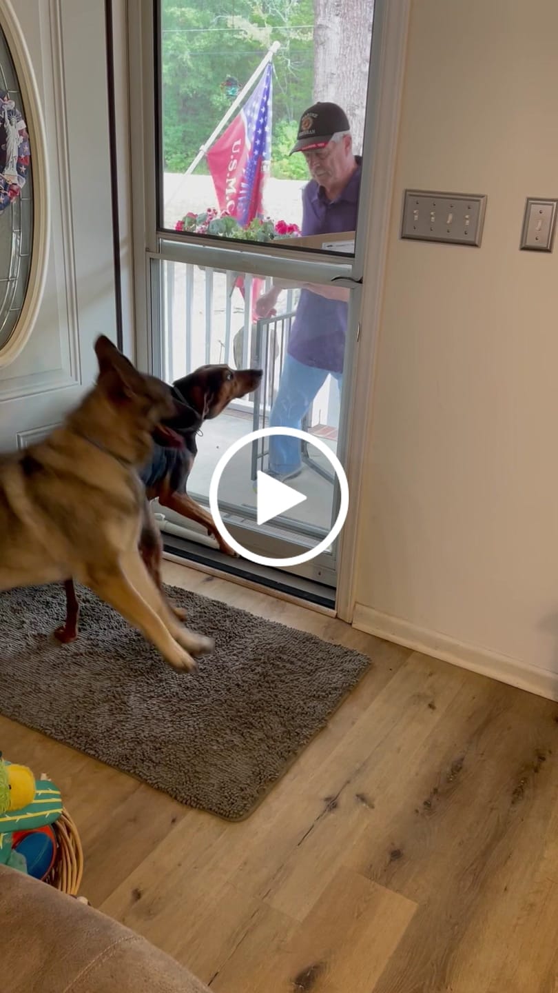 Customer video review of Mystery Gift