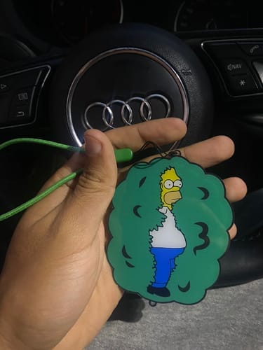 Customer photo review of Homer Car Mirror Hanging