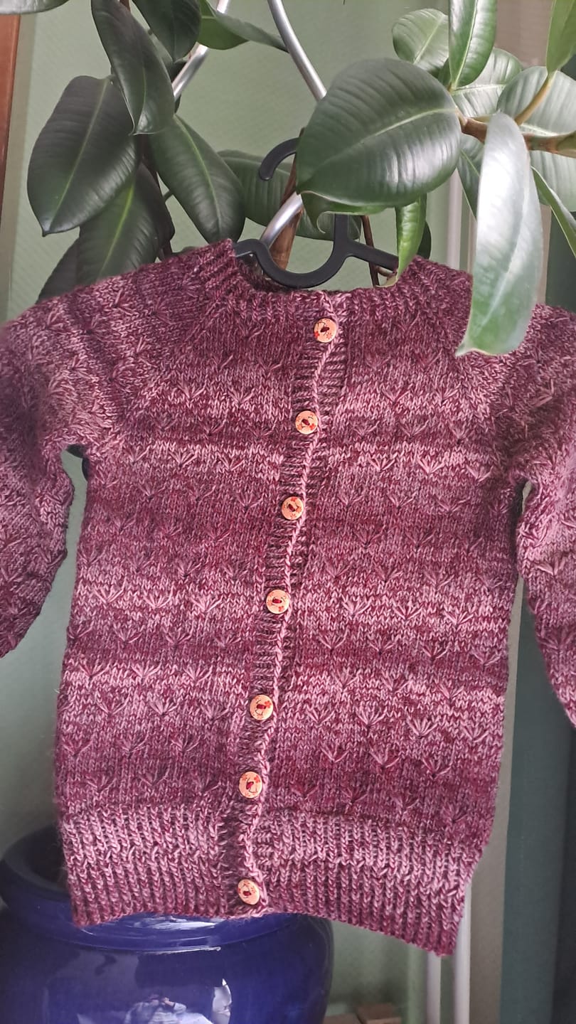 Customer photo review of Ri.Go art. By way 2/30, merino 100% col. Morello cherry