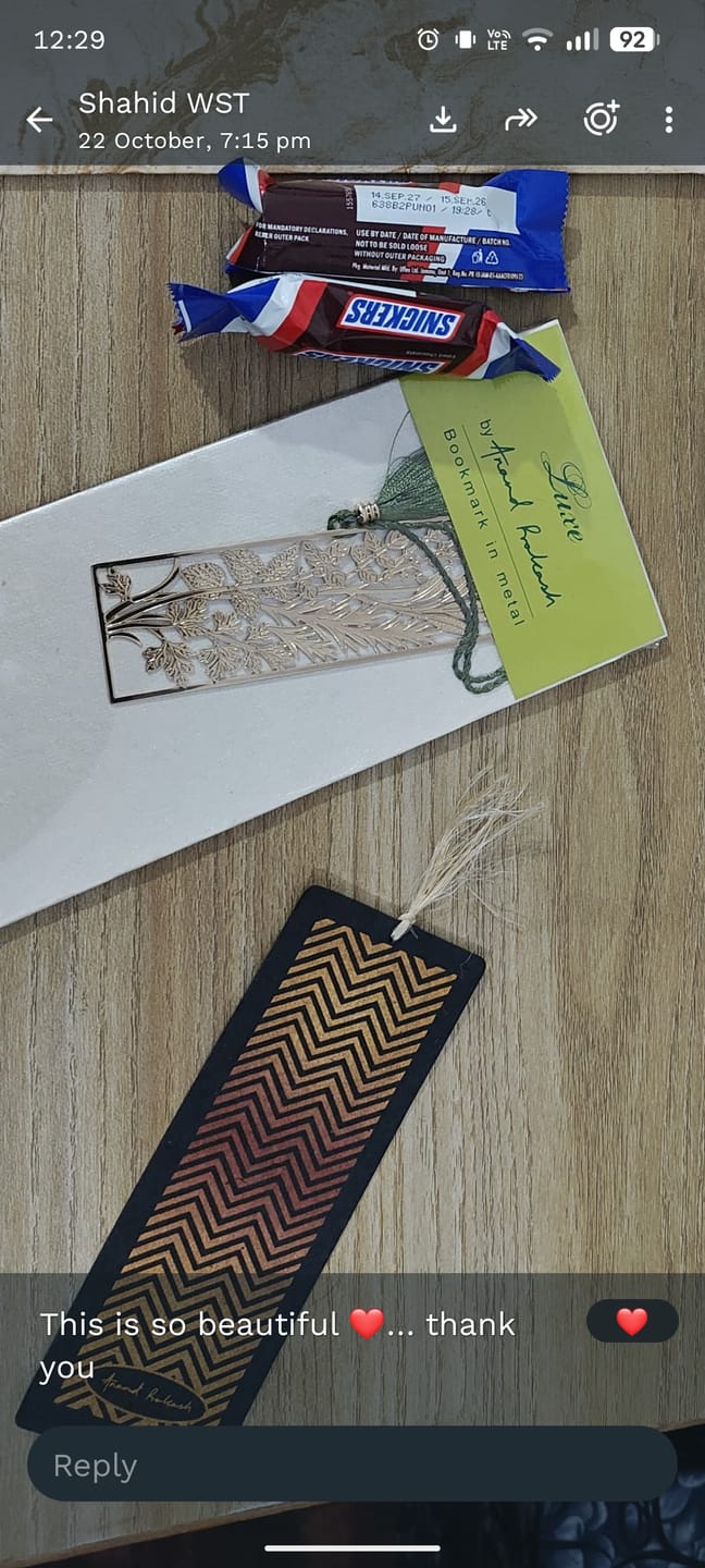Customer photo review of Bookmark Dragonfly
