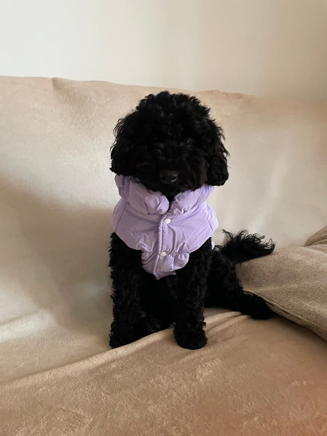 Customer photo review of Sweet Bomber