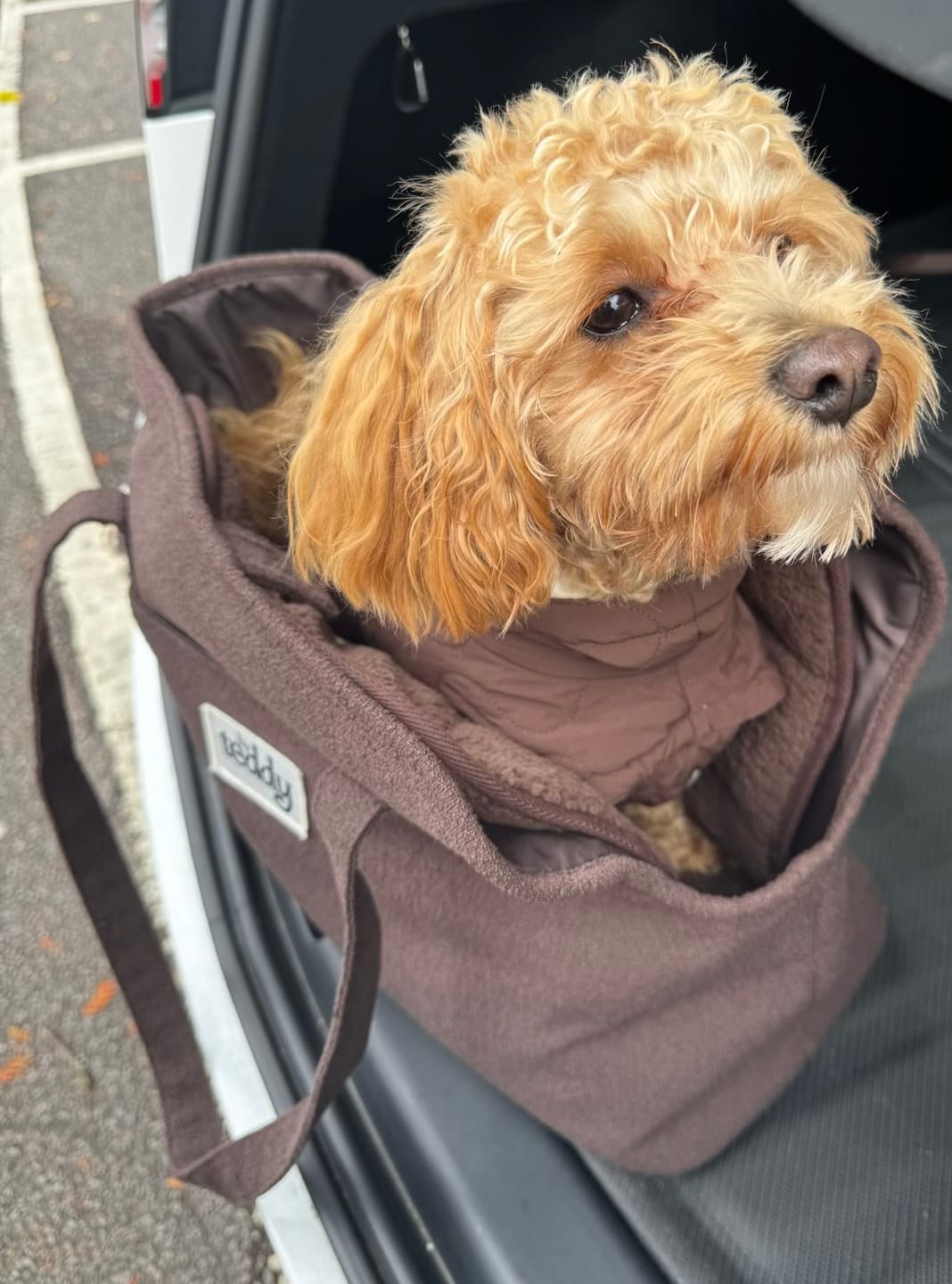 Customer photo review of Chocolate | The Capsule Quilted Coat