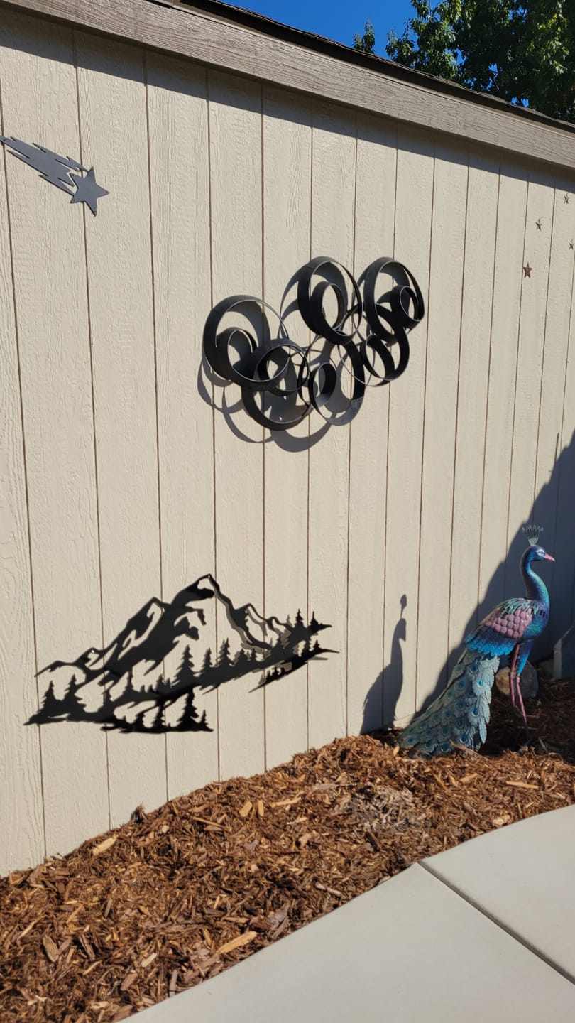 Customer photo review of Mountain Range View Metal Wall Art