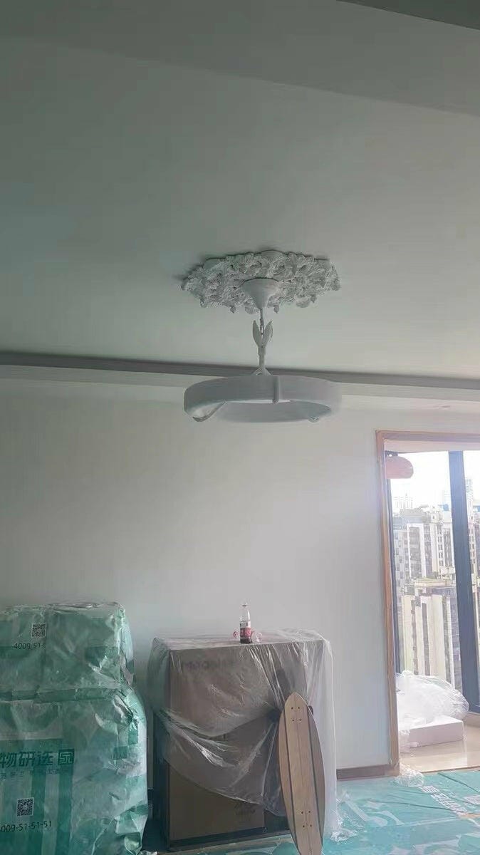 Customer photo review of Carved Plaster Chandelier, White Plaster and Metal, Integrated LED
