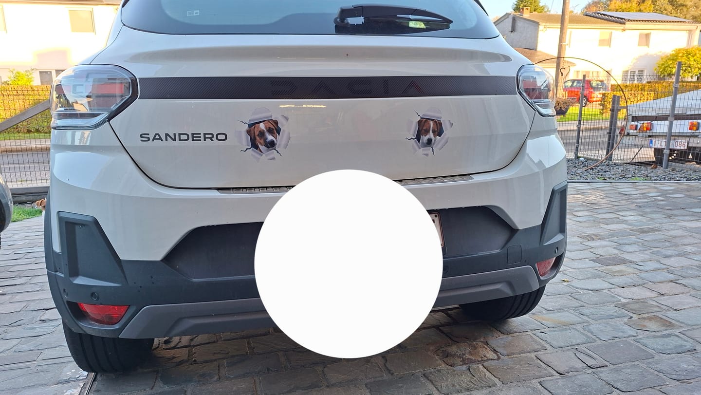 Customer photo review of Autocollant pour voiture personnalisé - Photo animal curieux