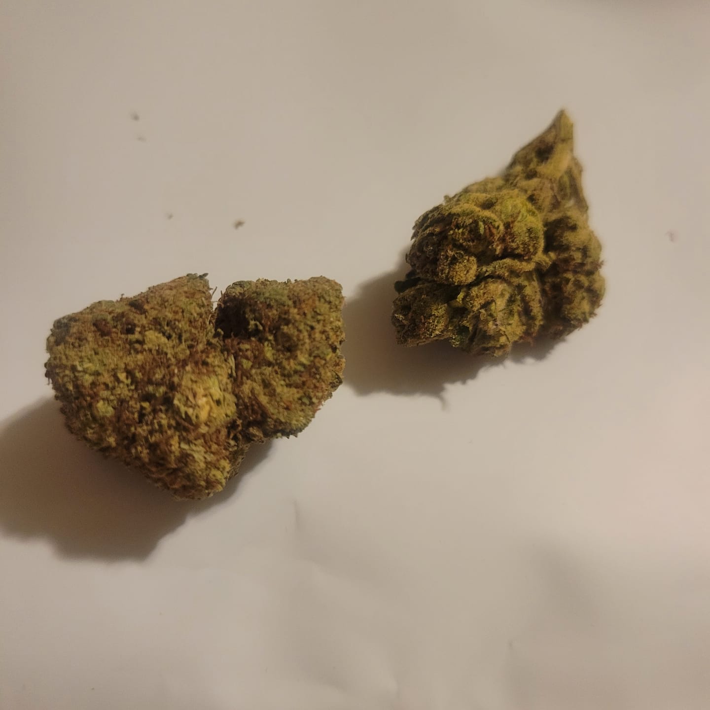 Customer photo review of THCA Flower Budget Buds
