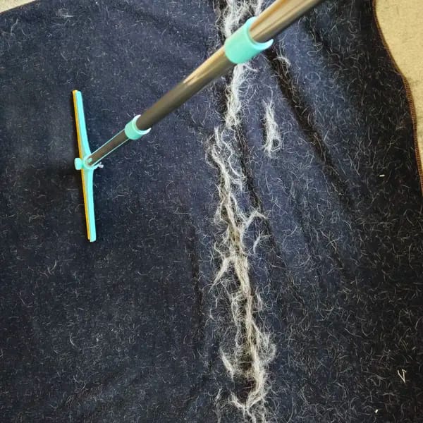 Customer photo review of Magic Lint Cleaner