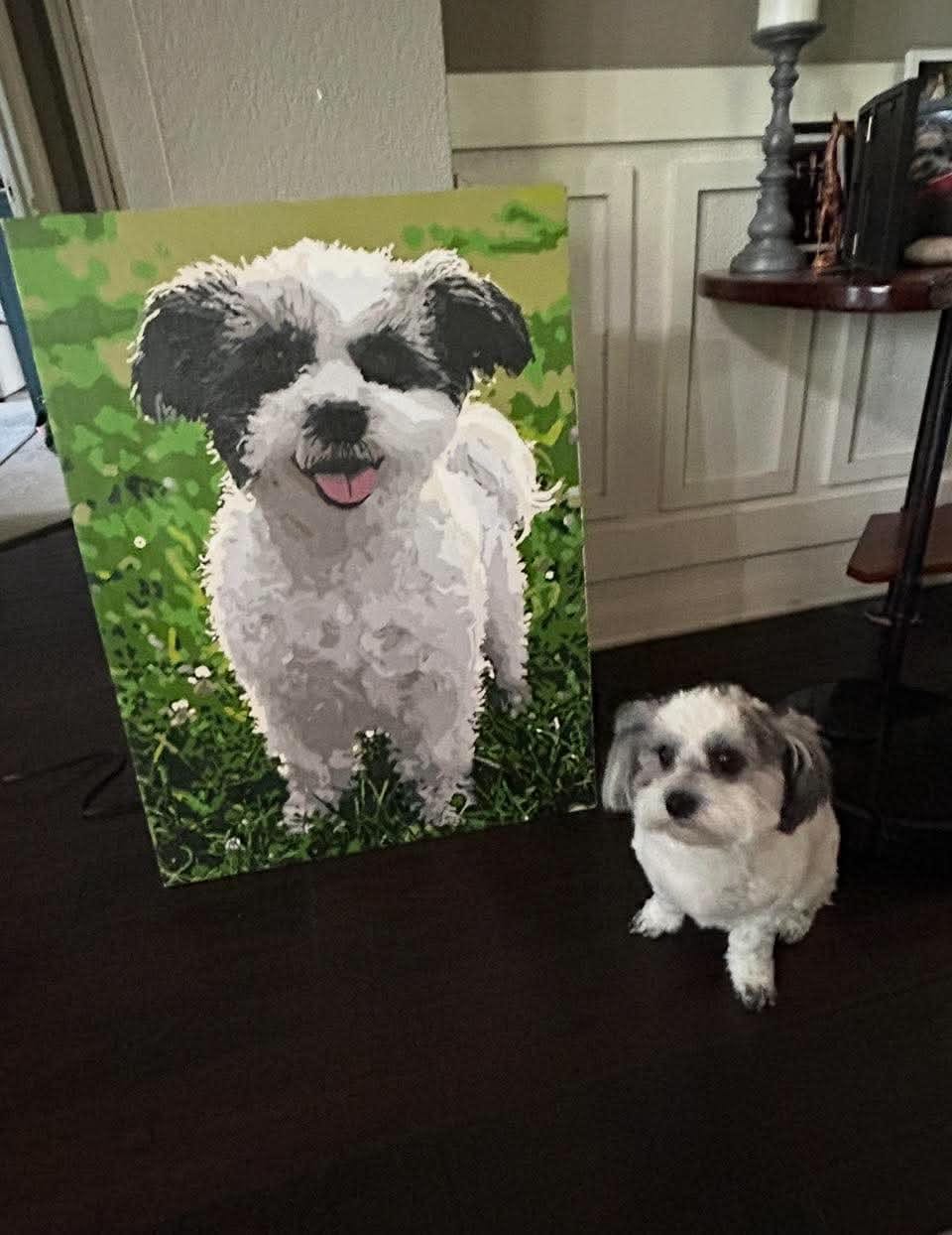 Customer photo review of Custom Paint by Numbers Kit for Personalized Artwork