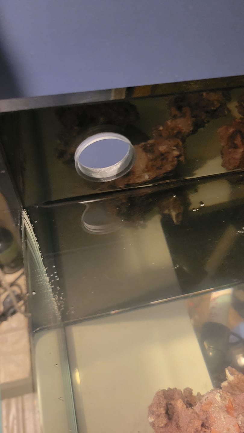 Customer photo review of Fiji Cube 32 Gallon External Overflow Rimless Nano Tank