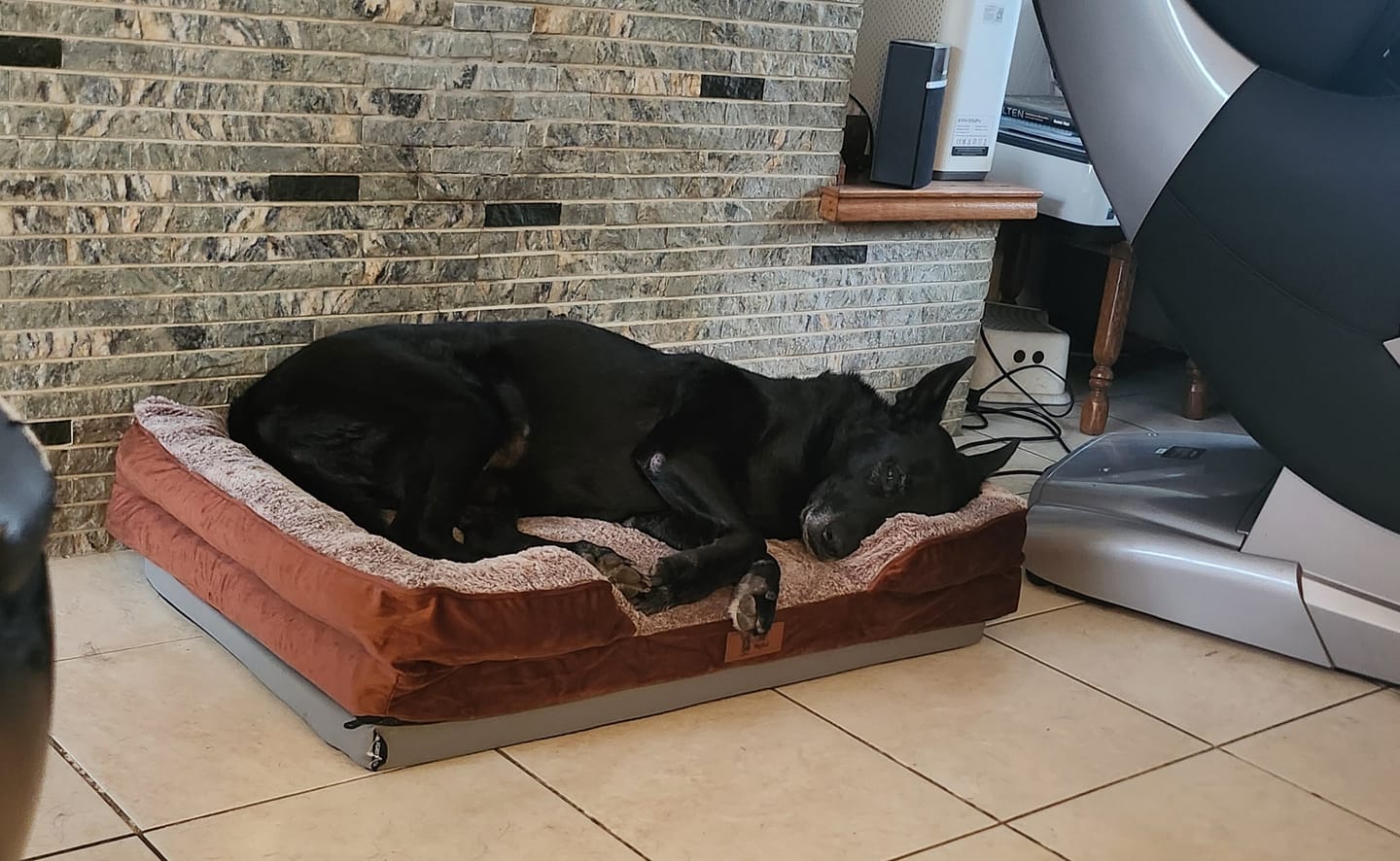 Customer photo review of Pet Perfect HOES (zonder vulling) voor model 3 - Cozy Bruin