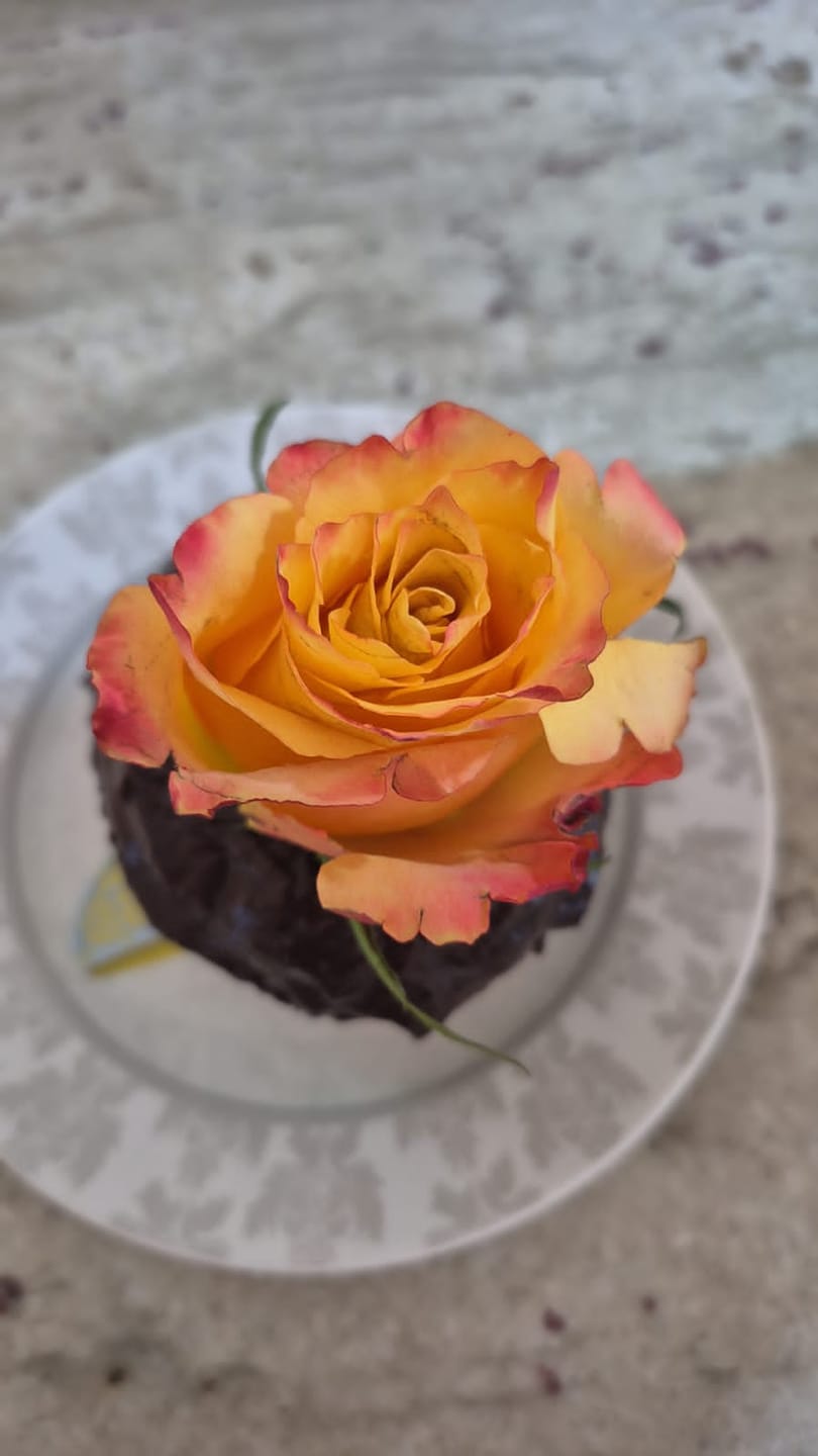 Customer photo review of Single Chocolate Cupcake