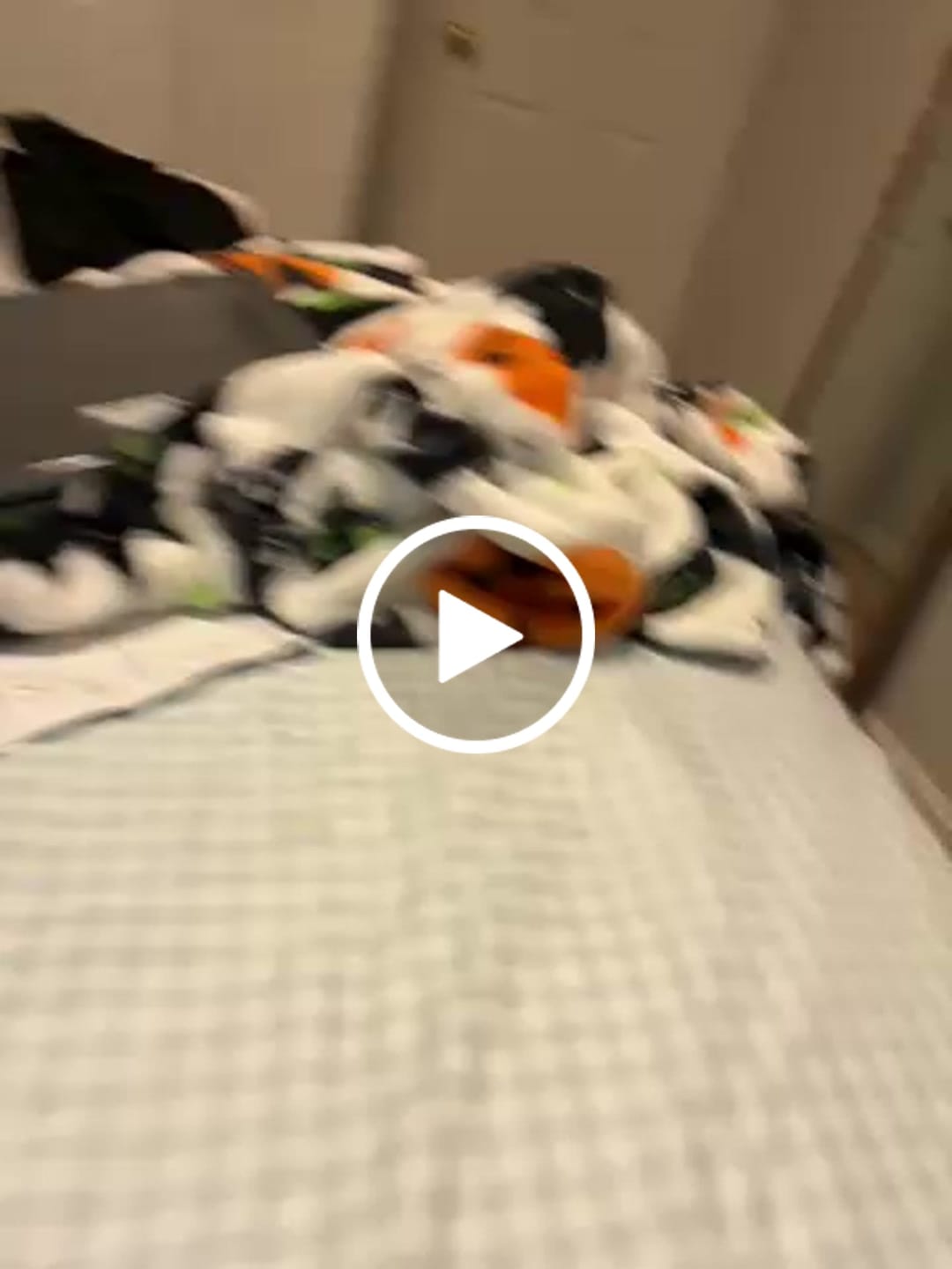 Customer video review of The Voyage Plush
