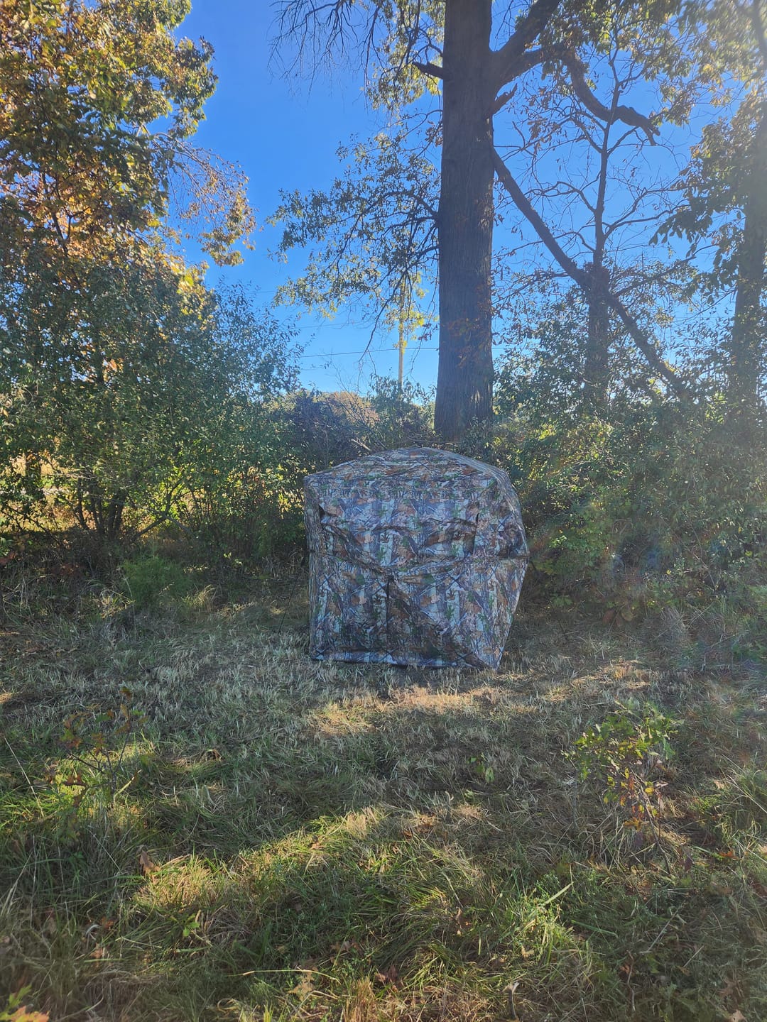 Customer photo review of VisX/VisMax See Through Hunting Blind, Pop Up Ground Deer Blind