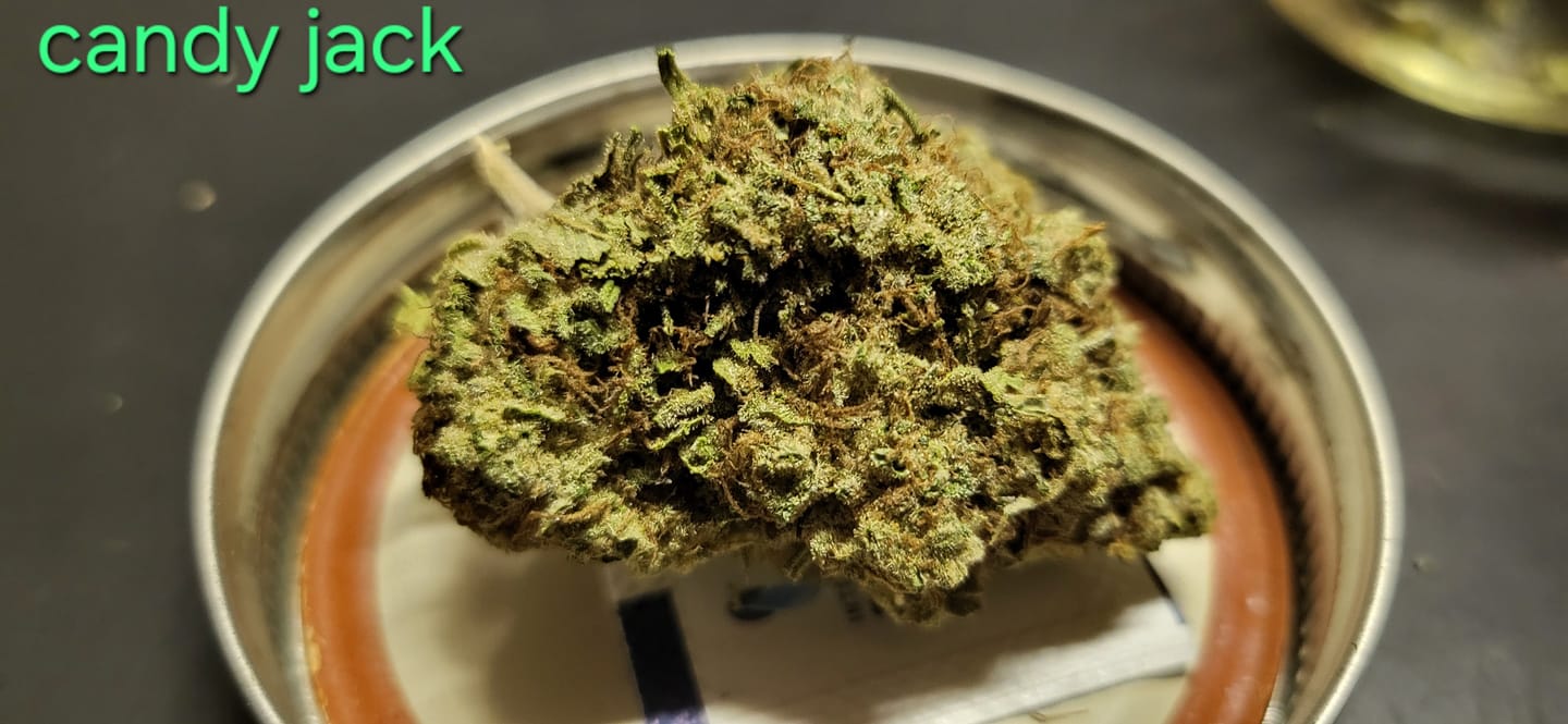 Customer photo review of Candy Gas THCA Flower