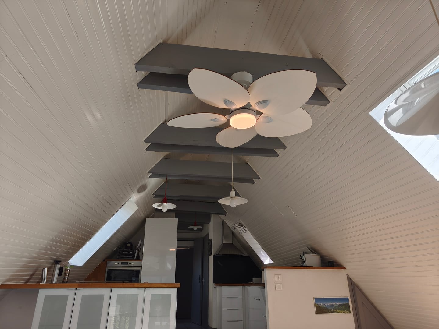 Photo de Roland C., chez elle ou chez lui