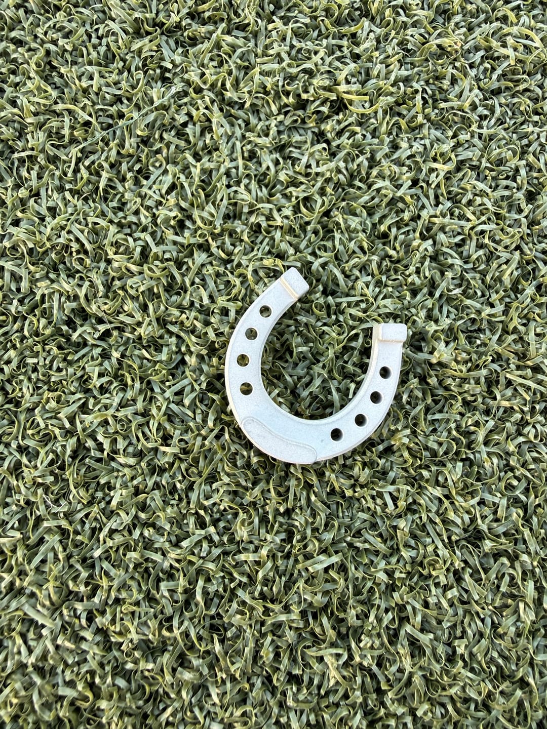 Customer photo review of PLAY BOLD LUCKY HORSESHOE MARKER - Stainless Steel