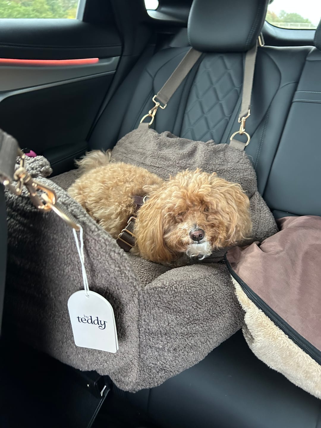 Customer photo review of Chocolate | The Cosy Car Seat