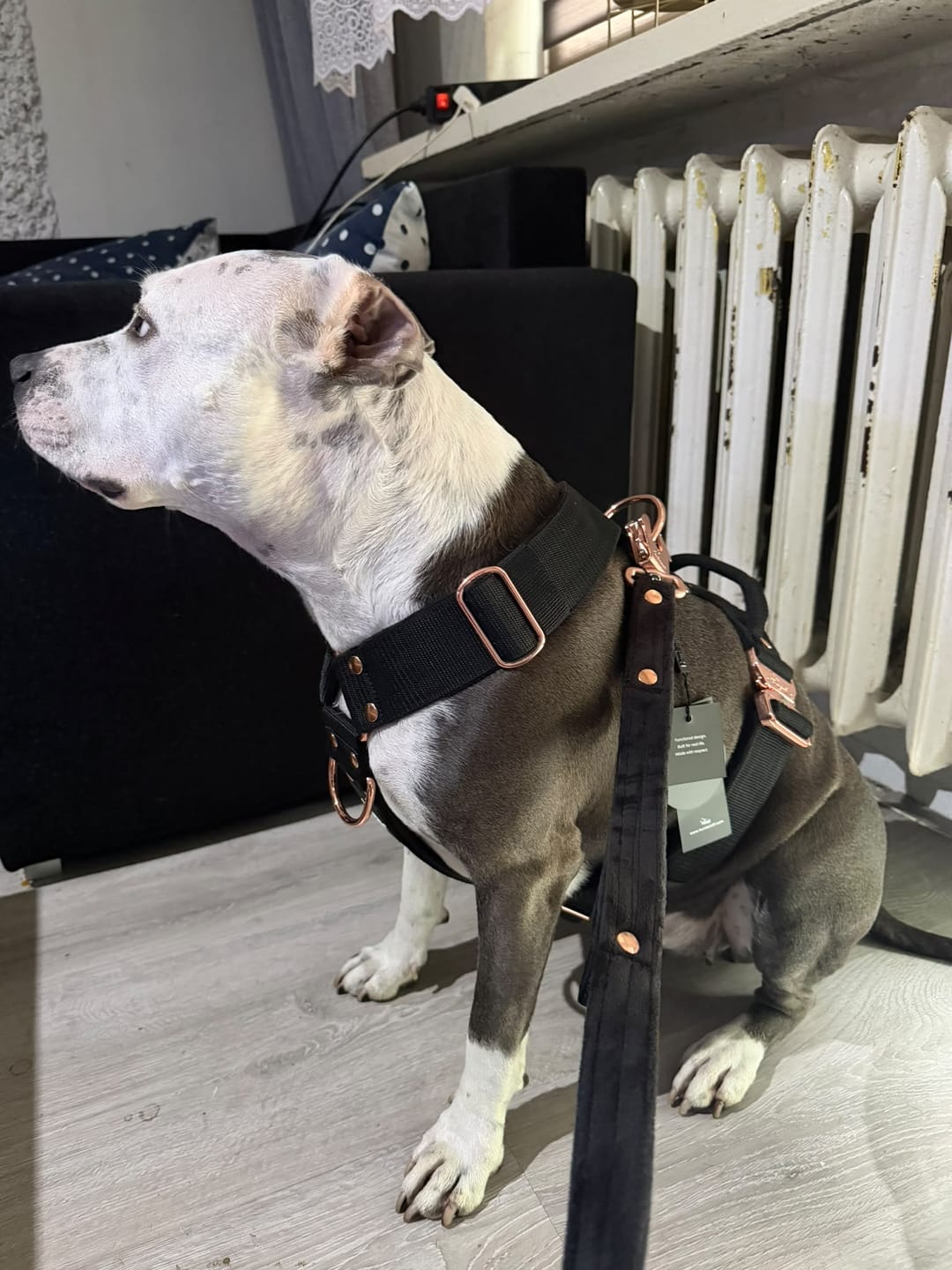 Customer photo review of Easy Walk Extreme Rose Edition Black
