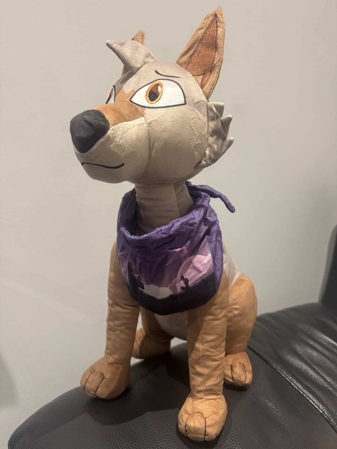Customer photo review of Original Character (OC) Design Plush
