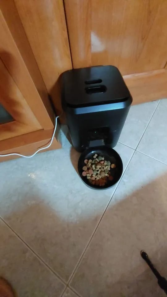 Customer photo review of Smart Pet Feeder Automatic Cat Feeder Dog Slow Food Machine With Timed Quantitative Automatic Cat Food Dispenser Cat Dog Bowl