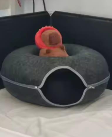 Customer photo review of The Cat Hideout Bed They'll Actually Use