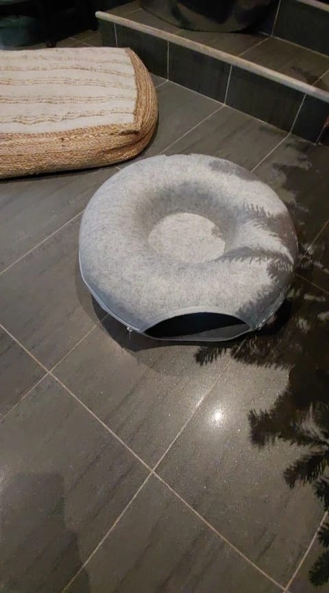 Customer photo review of The Cat Hideout Bed They'll Actually Use