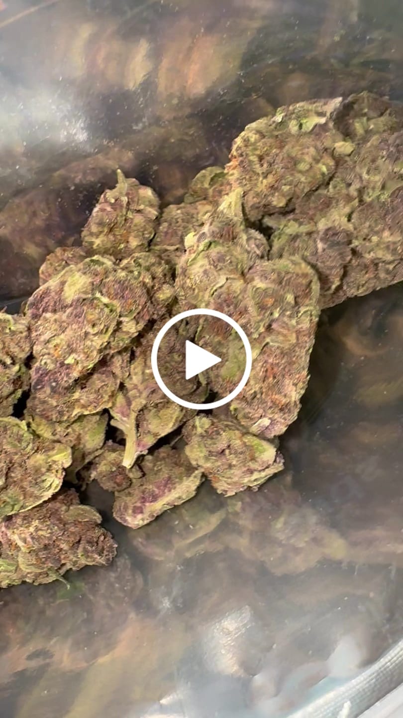 Customer video review of Tropicana Cherry THCA Flower
